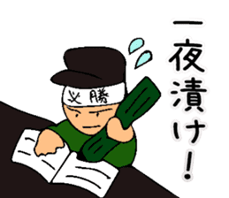 Mr. Bose What are you doing 9 sticker #11570588