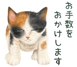 zumo cats sticker vol.5 (Japanese) sticker #11571074