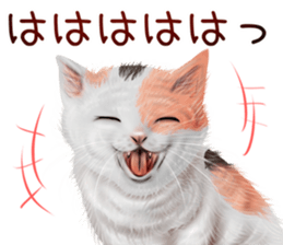 zumo cats sticker vol.5 (Japanese) sticker #11571075