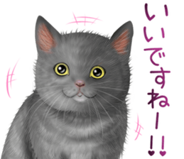 zumo cats sticker vol.5 (Japanese) sticker #11571081