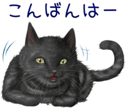 zumo cats sticker vol.5 (Japanese) sticker #11571086