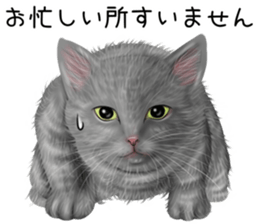zumo cats sticker vol.5 (Japanese) sticker #11571089