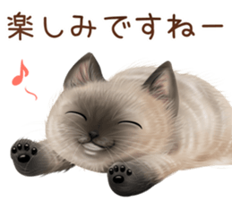 zumo cats sticker vol.5 (Japanese) sticker #11571093