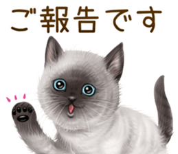 zumo cats sticker vol.5 (Japanese) sticker #11571096