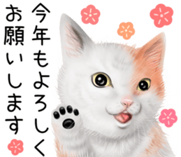 zumo cats sticker vol.5 (Japanese) sticker #11571111