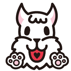 White schnauzer "MOKO"