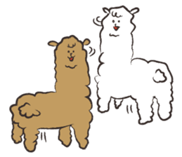 loose alpaca2 sticker #11571901