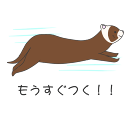 very cute ferrets sticker #11572575