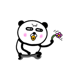 It is the panda.Panda-ish? 17 baby sticker #11573057