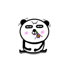 It is the panda.Panda-ish? 17 baby sticker #11573058