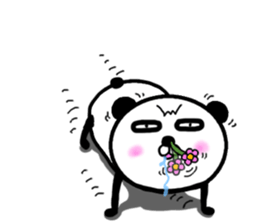 It is the panda.Panda-ish? 17 baby sticker #11573059