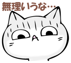 The cat I refuse sticker #11573590