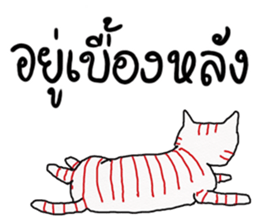 LineRed cat sticker #11573643