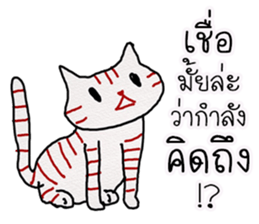 LineRed cat sticker #11573651