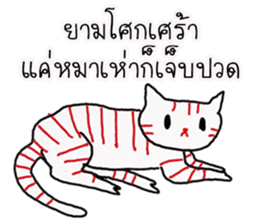 LineRed cat sticker #11573655