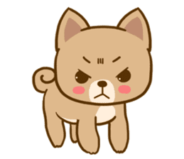 Dog and Cat Cute sticker #11576136