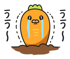 Funny rabbit and carrot sticker #11577620