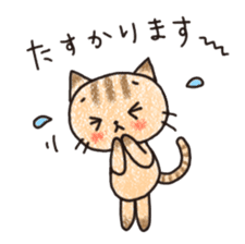 "MAYUNEKO" The cats with eyebrows! sticker #11580347