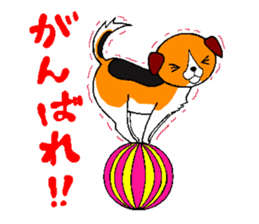 Lucky dog "Fuku"1 sticker #11580455