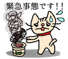 Good luck! MEW salesman Kotaro. sticker #11581588