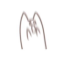 Is this cat? sticker #11584841