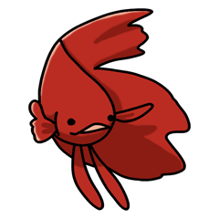 Daily life of Betta2