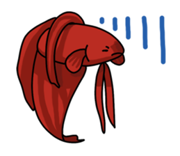 Daily life of Betta2 sticker #11587877