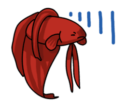 Daily life of Betta2 sticker #11587877