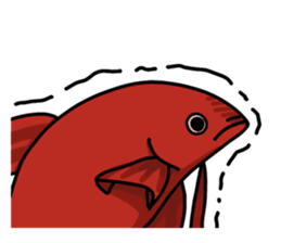 Daily life of Betta2 sticker #11587882