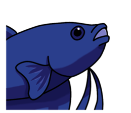 Daily life of Betta2 sticker #11587889