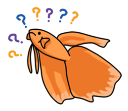 Daily life of Betta2 sticker #11587902