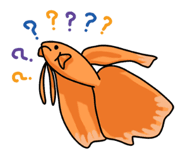 Daily life of Betta2 sticker #11587902
