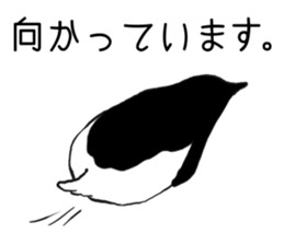 Penguin!!! sticker #11589601