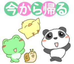 Panda's cutie sticker sticker #11589637