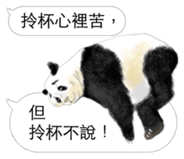 Panda I Love You 3 sticker #11589758