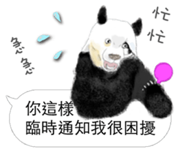 Panda I Love You 3 sticker #11589761