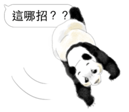 Panda I Love You 3 sticker #11589772