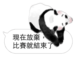 Panda I Love You 3 sticker #11589776