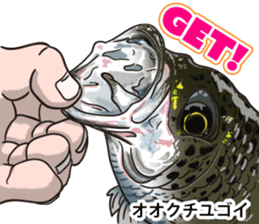 Tropical colorful fish 3 sticker #11589930