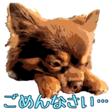 Yu-ri of a chihuahua sticker #11590075