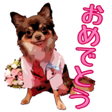 Yu-ri of a chihuahua sticker #11590080
