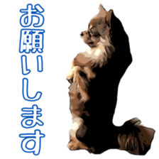 Yu-ri of a chihuahua sticker #11590082