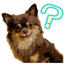 Yu-ri of a chihuahua sticker #11590101