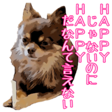 Yu-ri of a chihuahua sticker #11590110