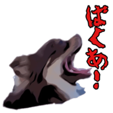 Yu-ri of a chihuahua sticker #11590111