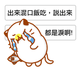 Niu Niu Cat 16 sticker #11590935