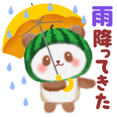 Water melon panda