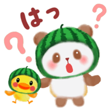 Water melon panda sticker #11592740