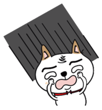 Shiba pi pi with chu chu part2 sticker #11593599