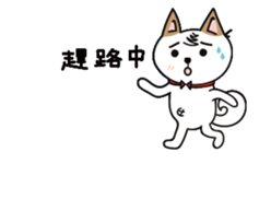 Shiba pi pi with chu chu part2 sticker #11593629